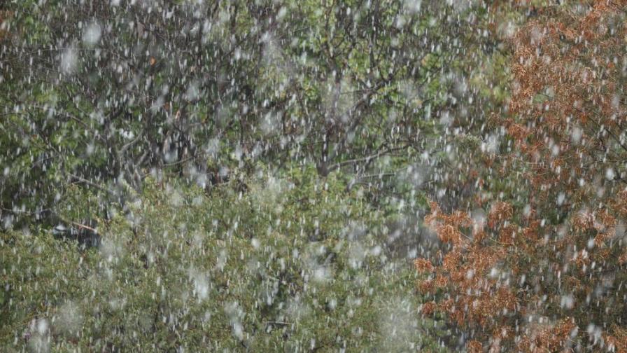 Сняг заваля в района на Пампорово