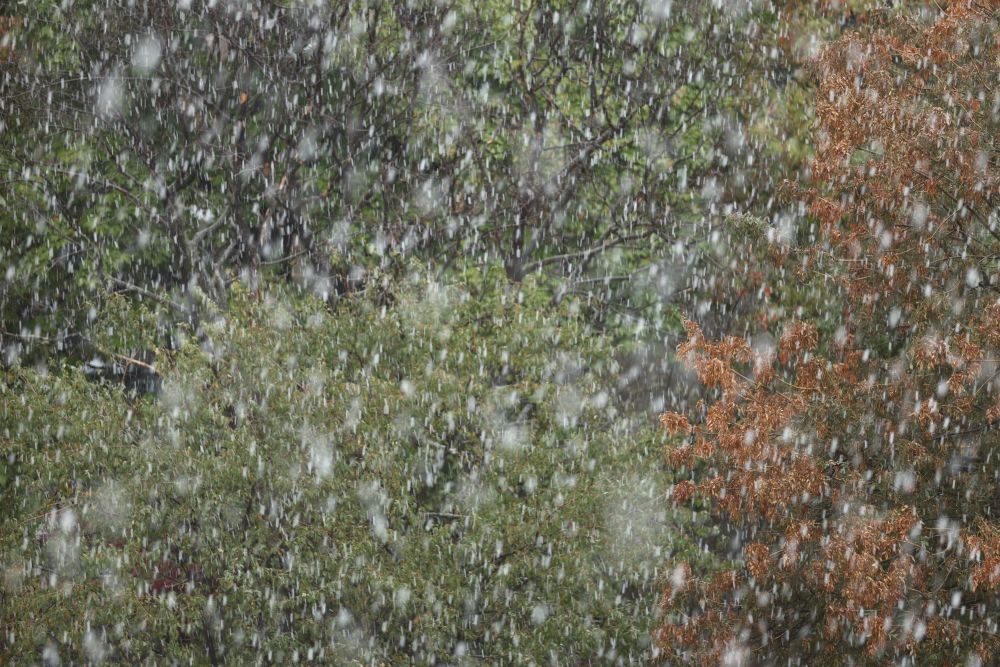 Сняг заваля в района на Пампорово