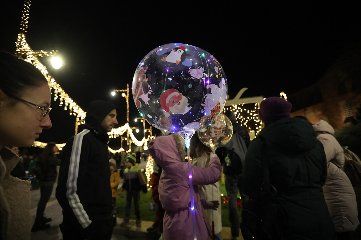 <p>София елха</p>