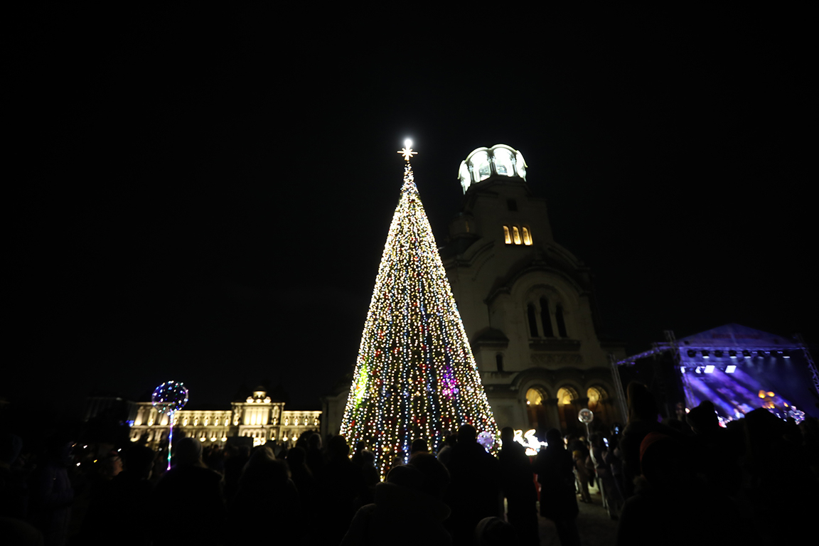 <p>София елха</p>