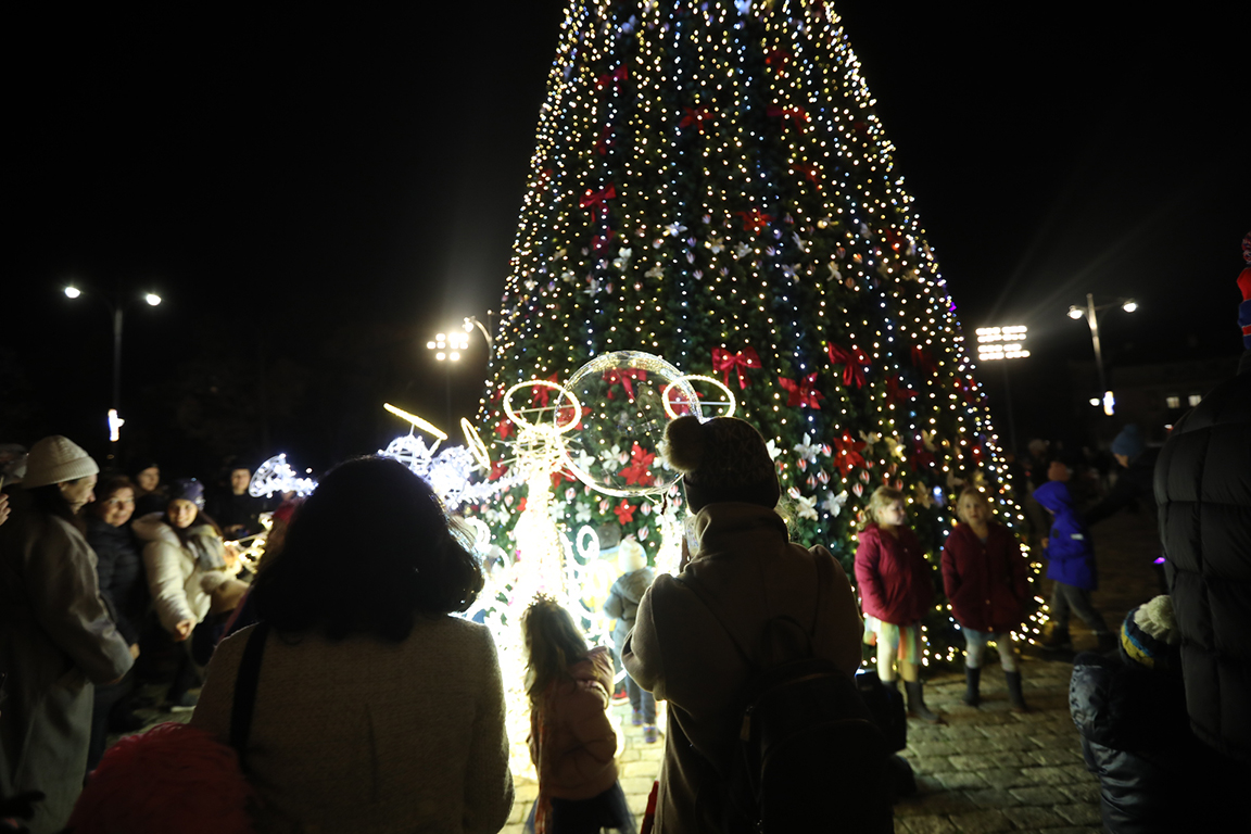 <p>София елха</p>