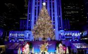 Вълшебство в Ню Йорк: Легендарната елха на Рокфелер грейна с 50 000 светлини (СНИМКИ)