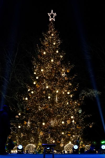 <p>Първата дама на САЩ Мелания Тръмп запали светлините на коледното дърво в американската столица в студената вечер снощи, предаде Асошиейтед прес.</p>