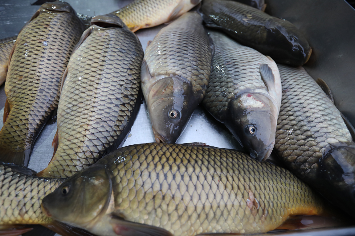 <p>Никулден</p>