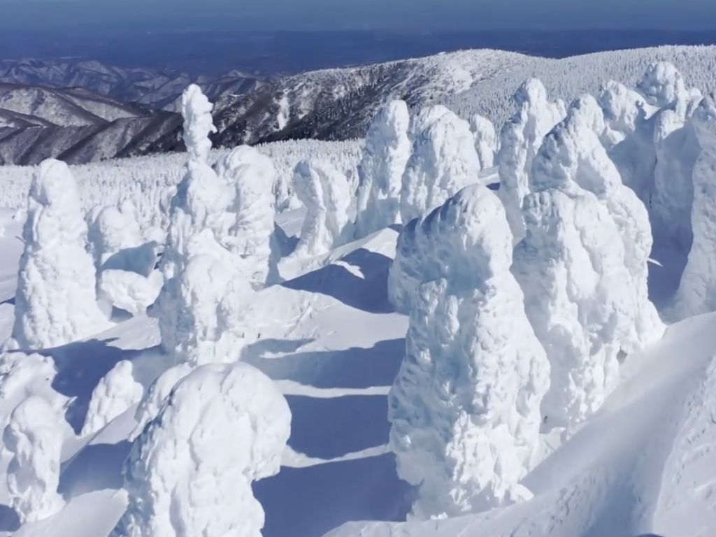 Снежните чудовища в Япония