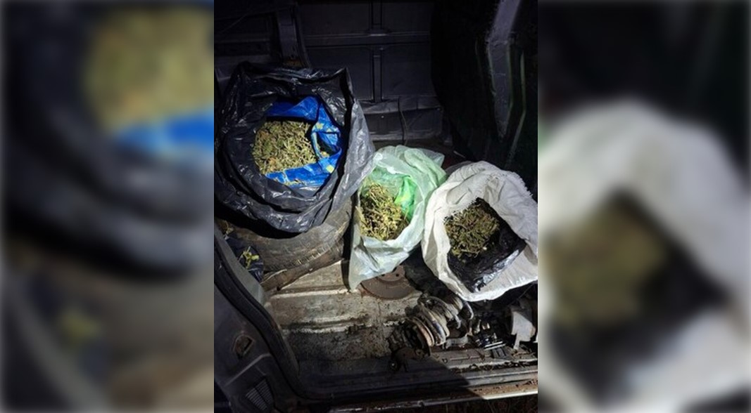 Откриха и иззеха 8 кг марихуана, укрита в буркани и дерегистрирана кола в Бобов дол