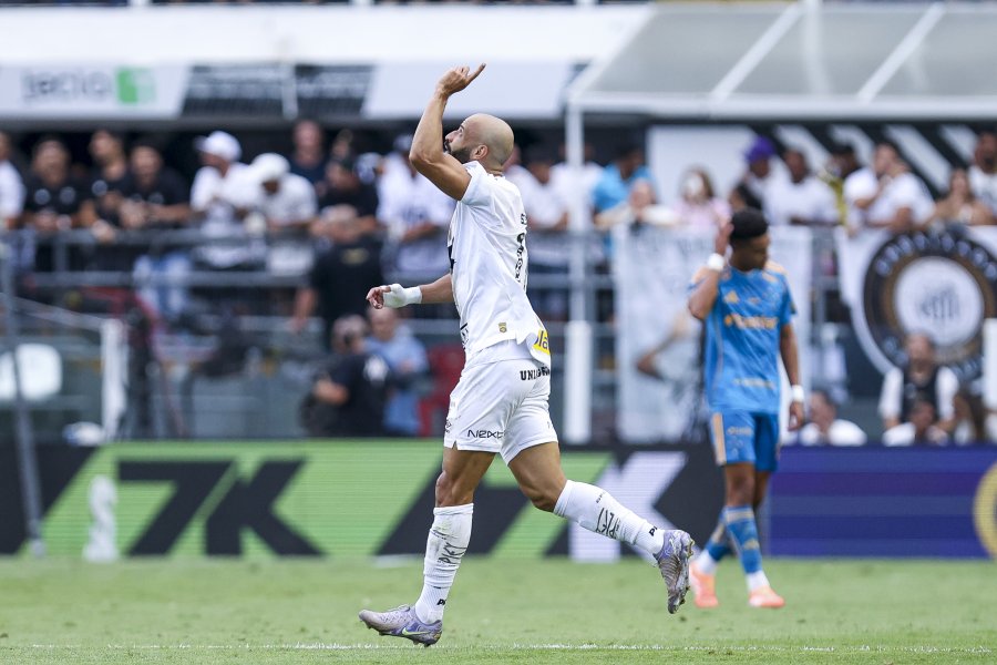 Сантос Крузейро1