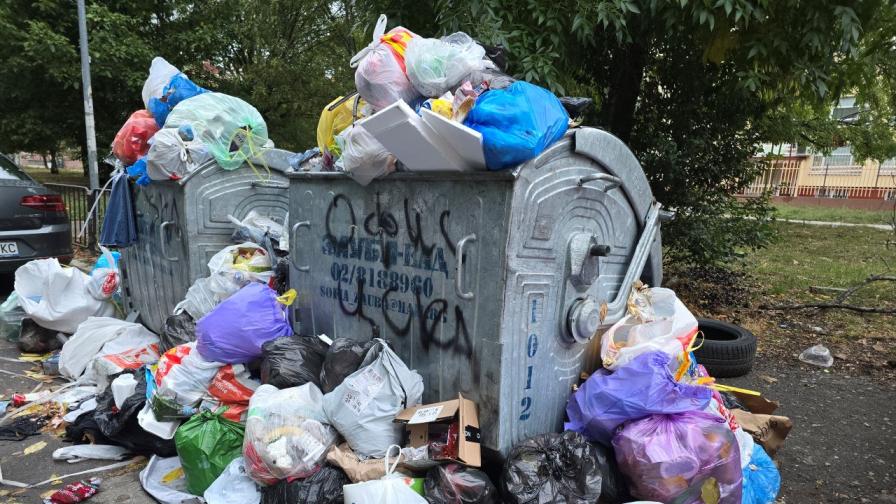 <p>Сметосъбирането в &quot;Люлин&quot;: Акция на хората, които отказват да се примирят, че &quot;тука е така&quot;</p>