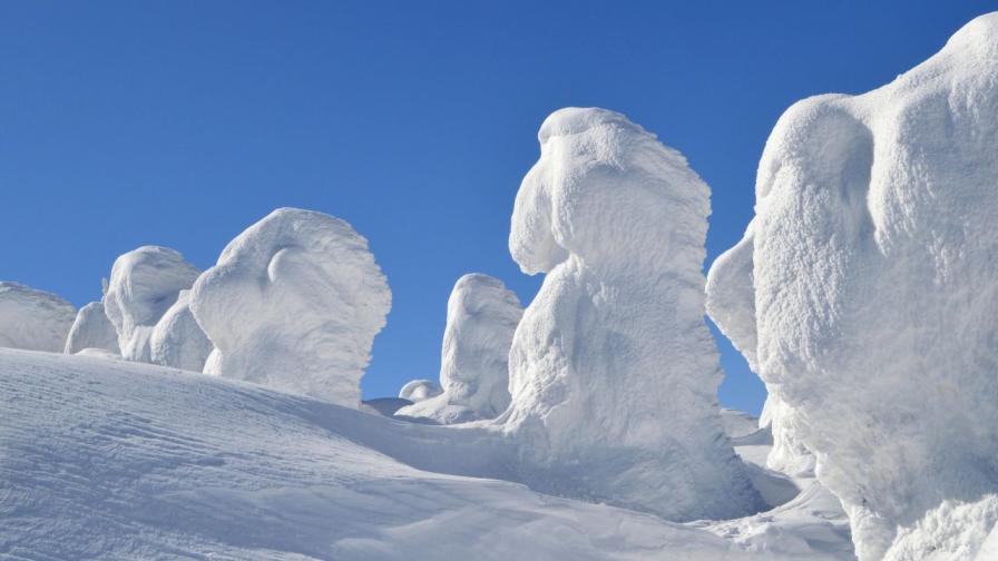 Снимката е илюстративна