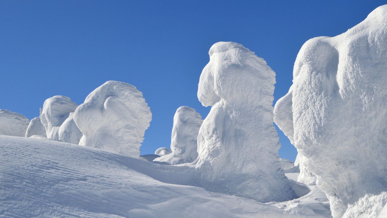 Япония губи своите емблематични снежни чудовища