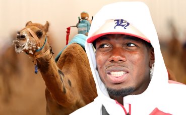 Погба ще инвестира в отбор за надбягвания с камили