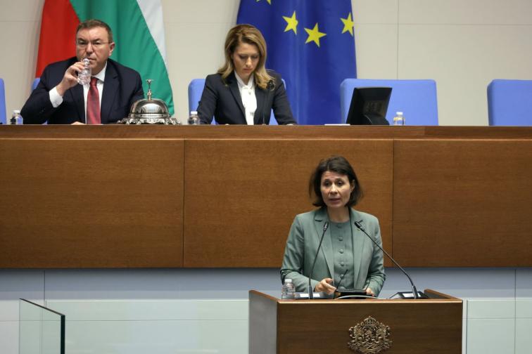 оставка желязков