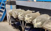 Задържаха 70 кг дрога, открита в газови бутилки на границата с Турция