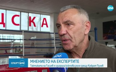 Анализът на експертите за мача на Пулев