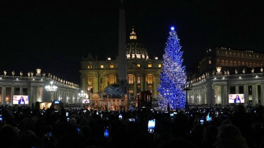 25-метрова елха озари площад "Свети Петър" във Ватикана