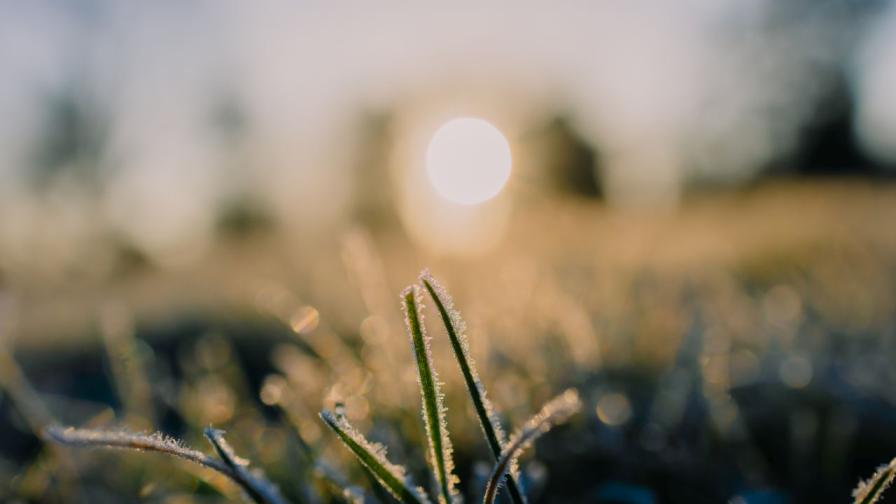 Пролет в средата на декември: Слънце и до 15 градуса днес