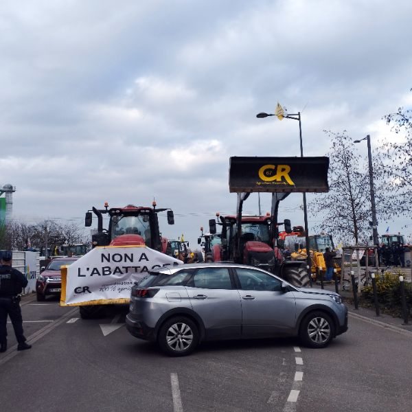 <p>Френски земеделци блокираха днес подстъпите на Европейския парламент (ЕП) във френския град Страсбург в знак на протест срещу планираното споразумение за свободна търговия между Европейския съюз и южноамериканската организация Меркосур, включваща Бразилия, Аржентина, Уругвай и Парагвай.</p>