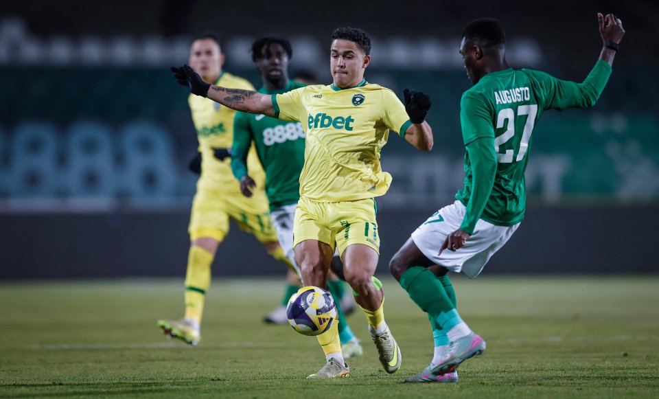 Берое Лудогорец1