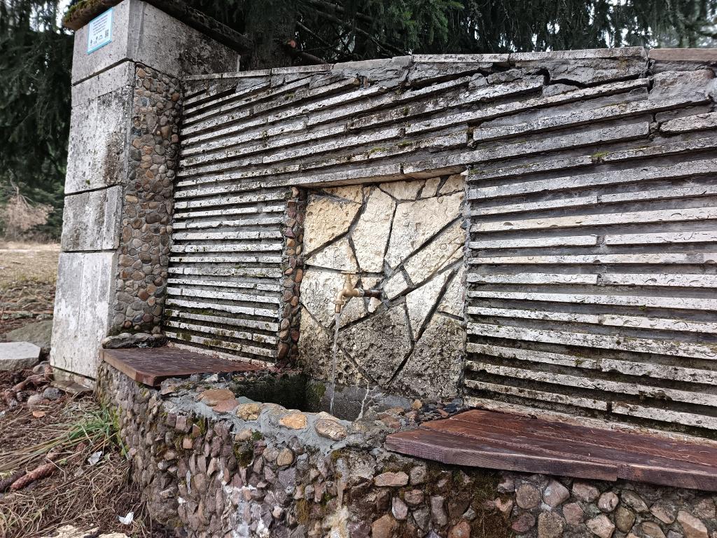 Чешмите във Витоша