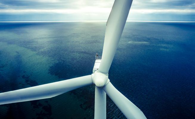 Тръмп удари вятърните паркове в САЩ