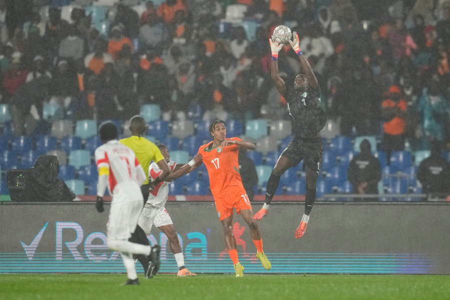 Кот дИвоар Мозамбик1