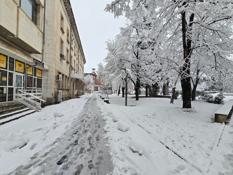 <p>Коледен сняг покри части от България - гледки от празничния ден</p>