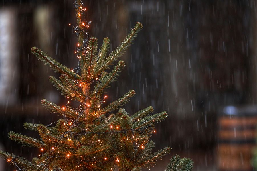 <p>Коледен сняг покри части от България - гледки от празничния ден</p>