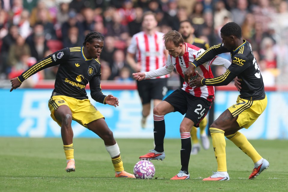 Микел Дамсгор