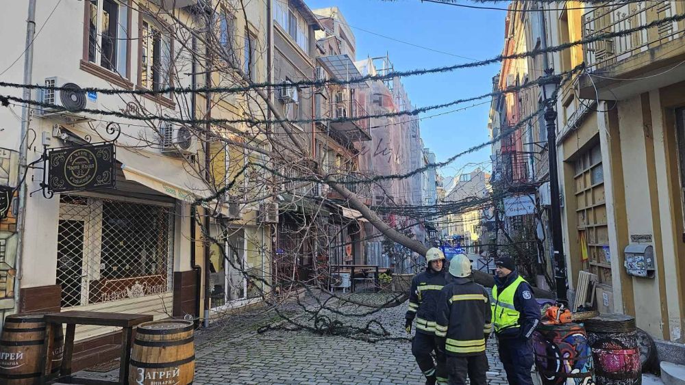 Вятърът нанесе щети в София и страната