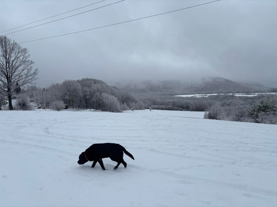<p>Смислени отпечатъци за финал на годината и начало на следващата</p>