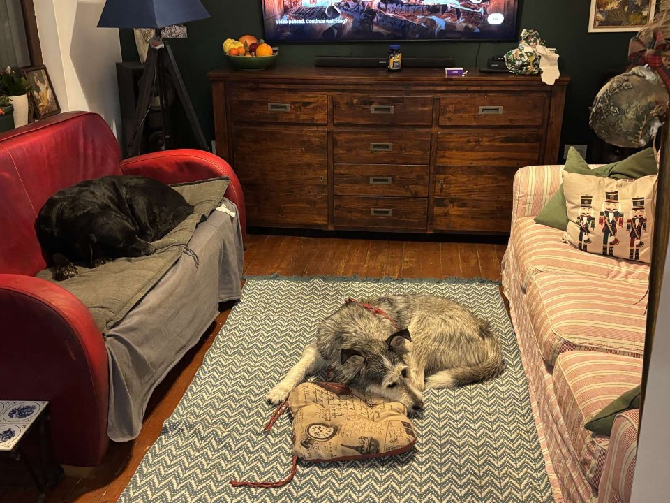 <p>Смислени отпечатъци за финал на годината и начало на следващата</p>