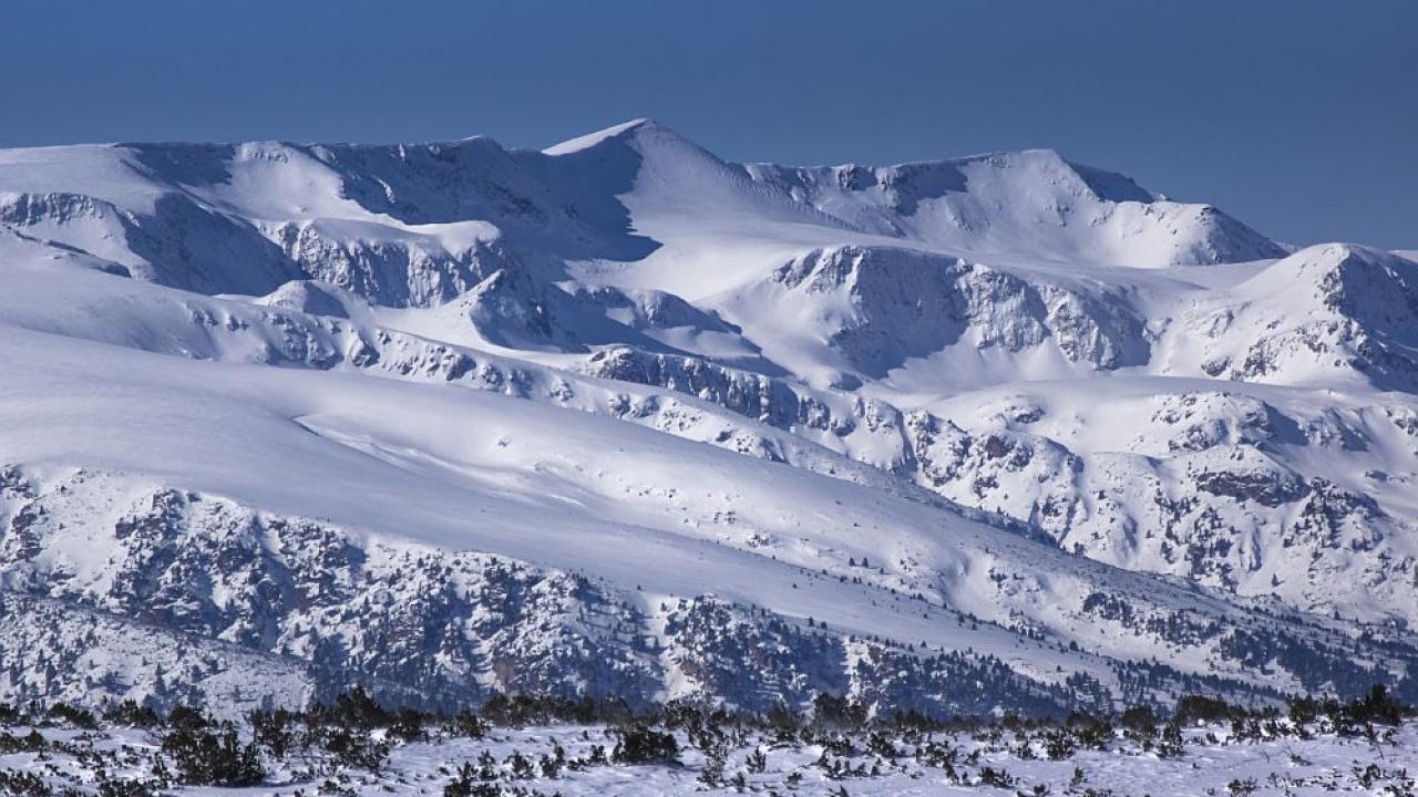 Илюстративна снимка