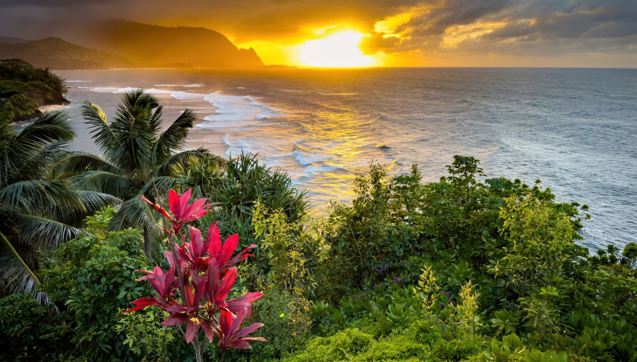 Само 13 букви, но безкрайни тайни: Хавайският език