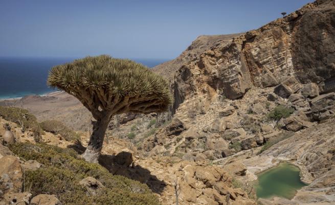Сблъсък между ОАЕ и Саудитска Арабия в Йемен