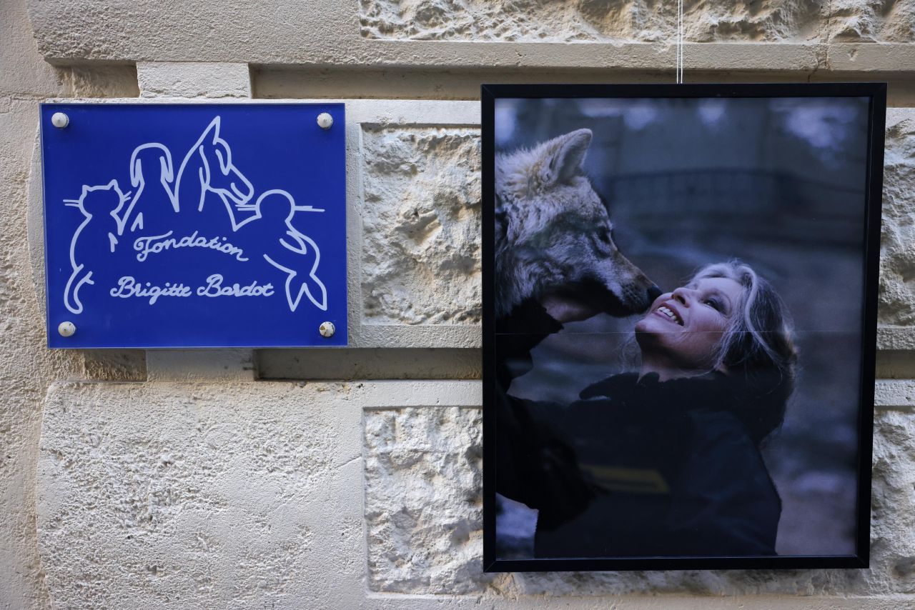 <p>Френската киноикона Брижит Бардо ще бъде погребана в родния ѝ град Сен Тропе. Скромното изпращане в последния ѝ път ще отрази нейната дългогодишна любов към животните, както и крайнодесните ѝ политически възгледи.</p>