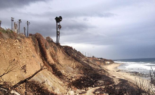 Братя милиардери закупиха 16 опожарени парцела в Малибу