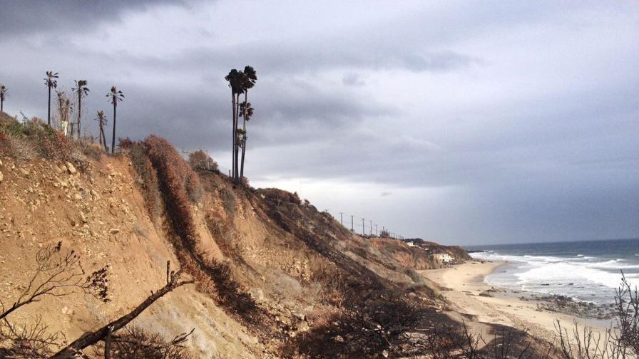 Братя милиардери закупиха 16 опожарени парцела в Малибу