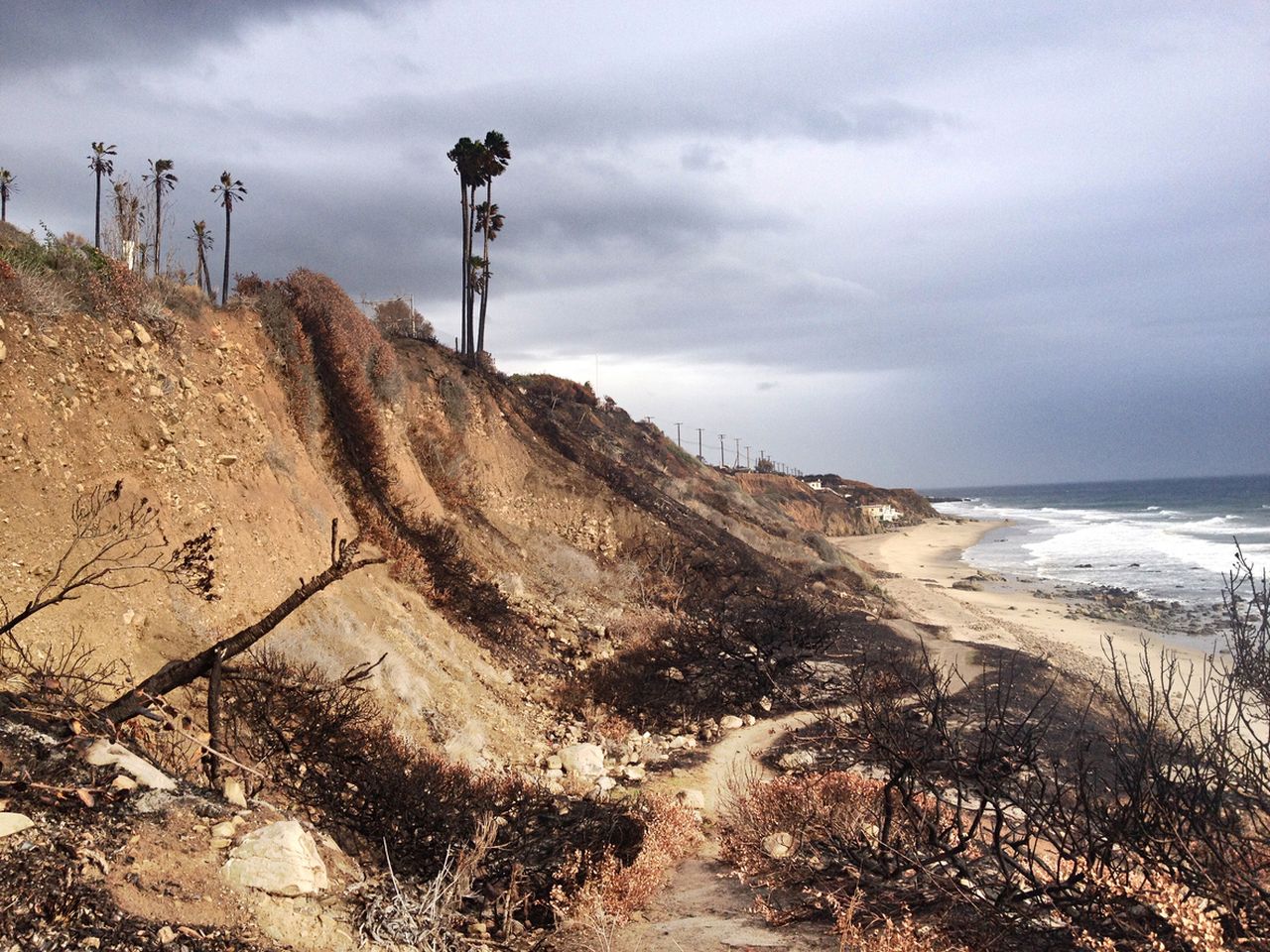 Братя милиардери закупиха 16 опожарени парцела в Малибу
