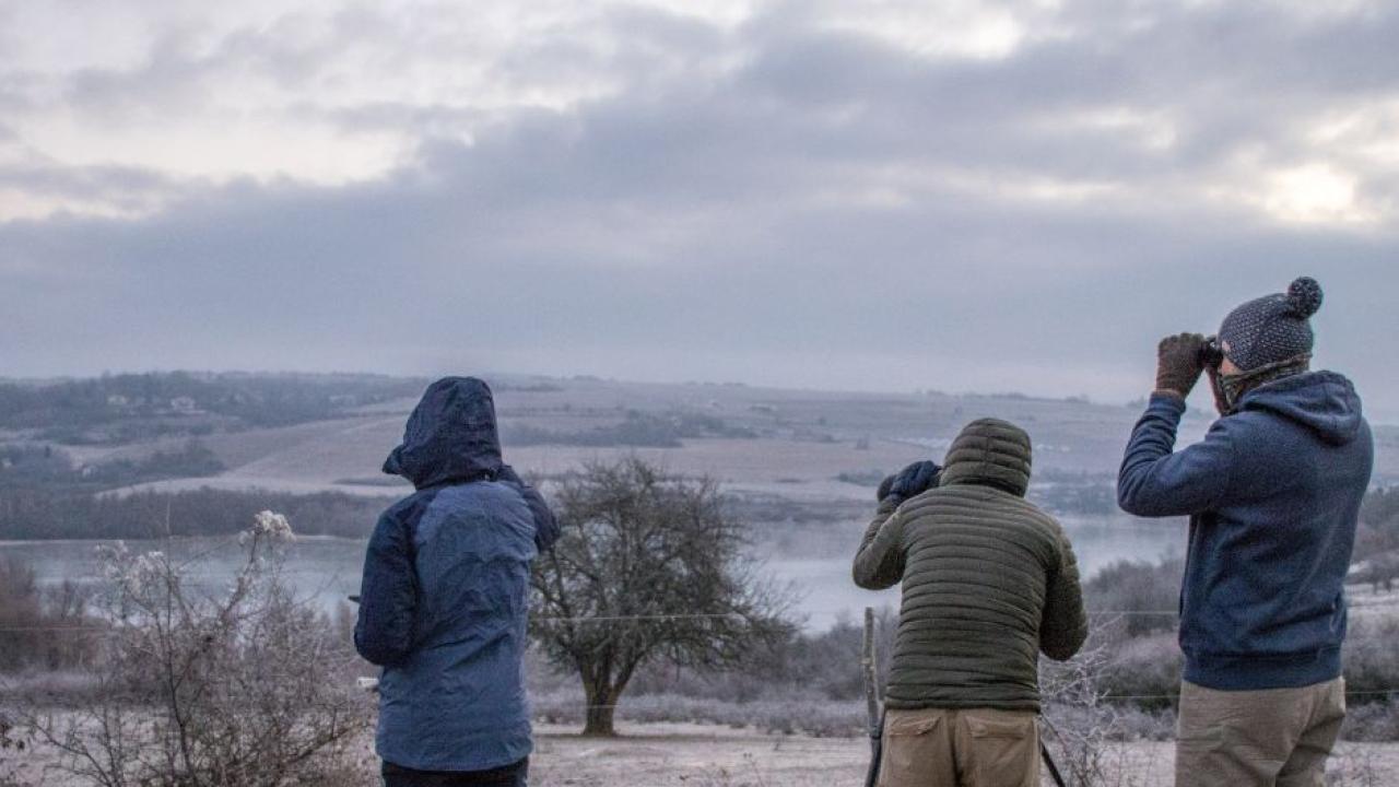 Среднозимно преброяване на водолюбивите птици