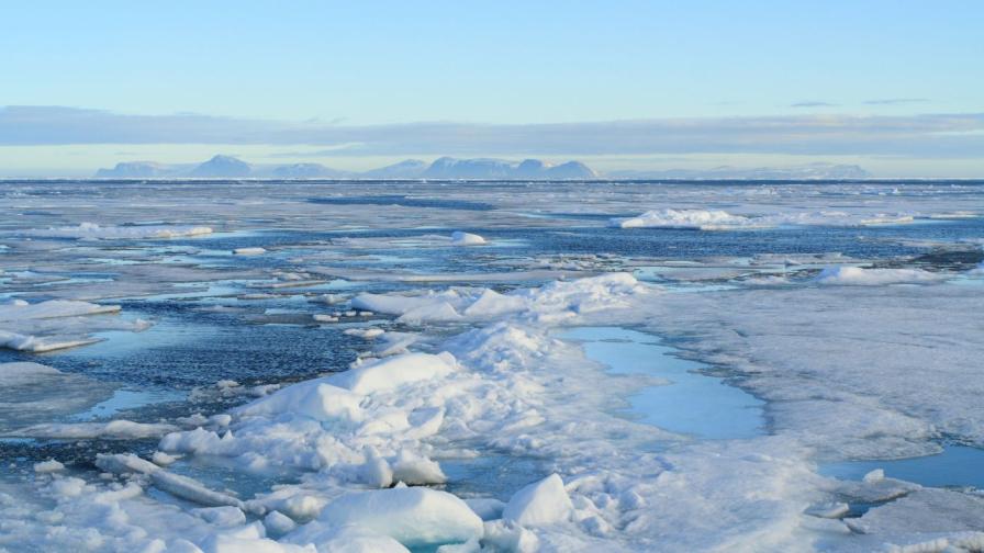„Все едно си в полилей“ – пътуване с Уил Смит до тайната на живота под Северния полюс