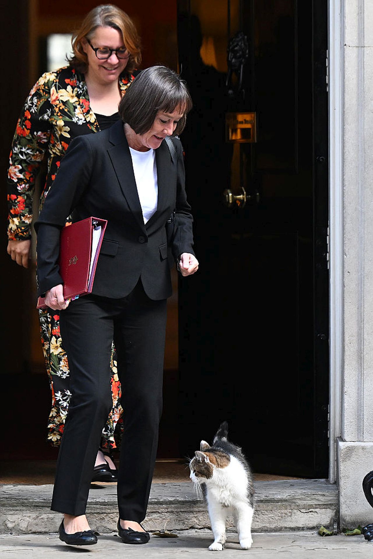 <p>Котката Лари на Даунинг стрийт е виждала президенти и принцове да минават през черната врата на номер 10 и е сред най-дългогодишните обитатели на имота</p>