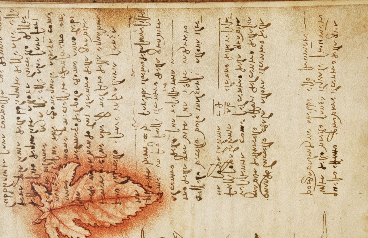 Ръкописът на Войнич: Изкусна измама или ключ към изгубен език?