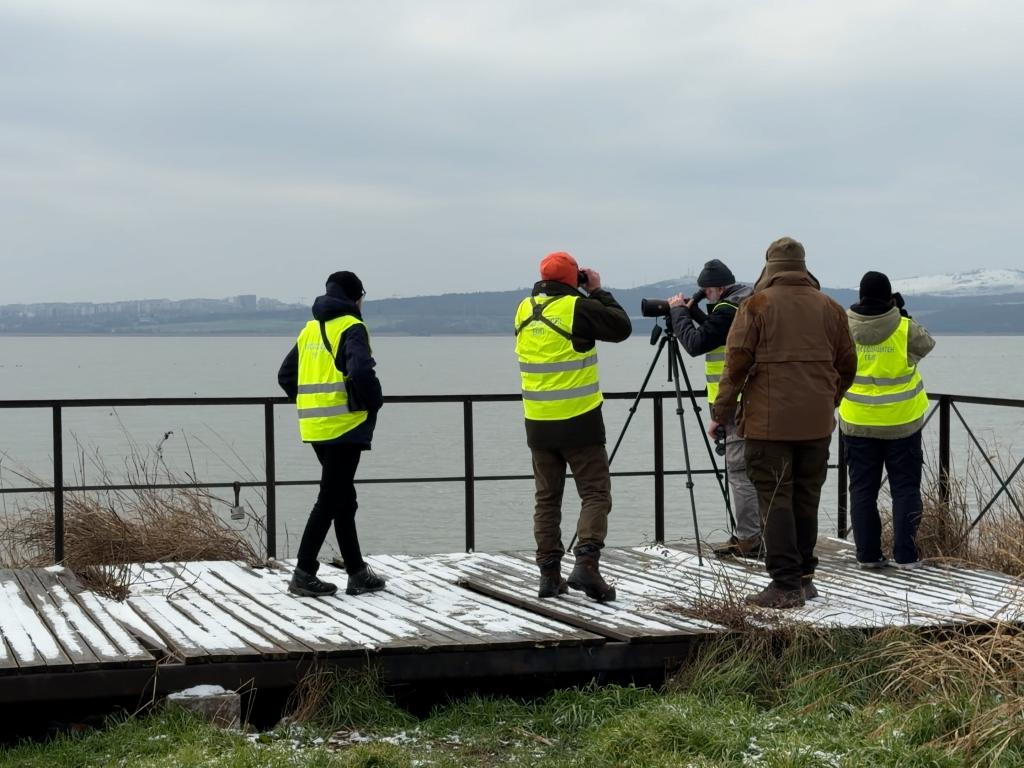 Среднозимно преброяване на водолюбивите птици