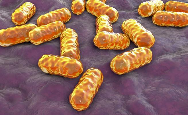 Глобалната заплаха, по-смъртоносна от рак, която никой в Давос не признава