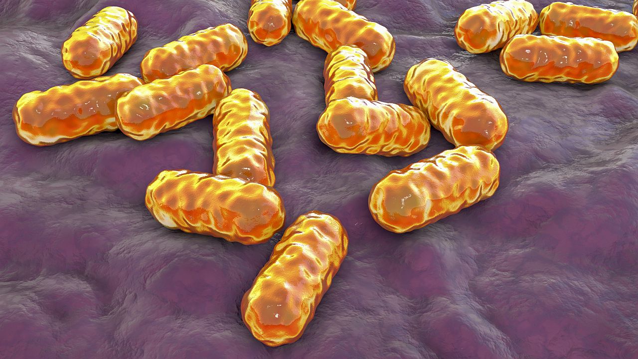 Глобалната заплаха, по-смъртоносна от рак, която никой в Давос не признава