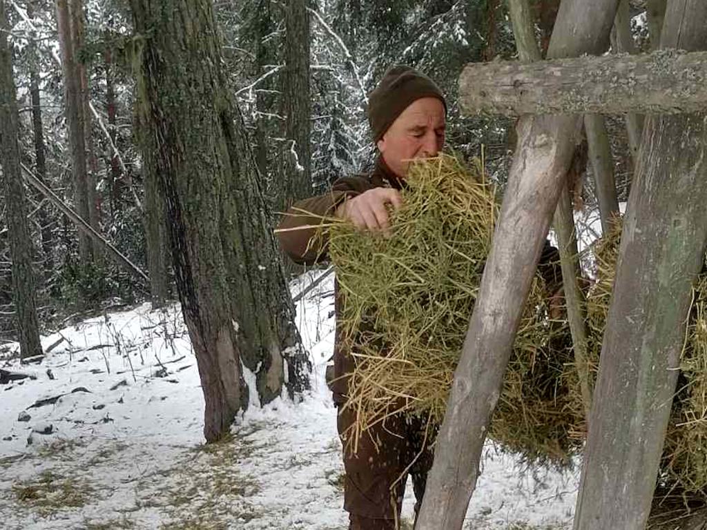 Подхранват дивеча в суровите Родопи