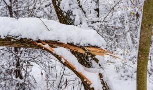 Снимката е илюстративна