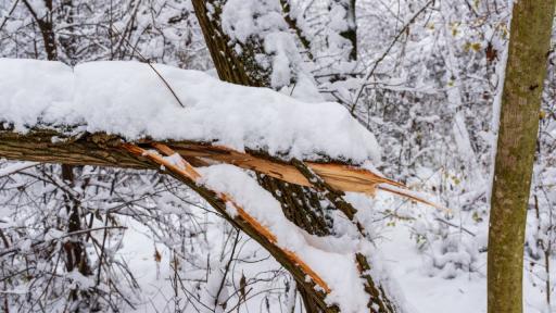 Снимката е илюстративна