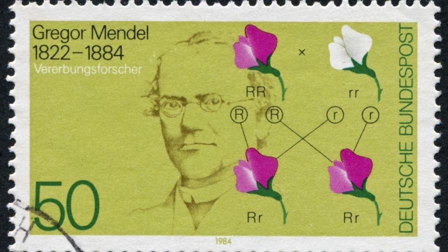 „Негоден“ свещеник, който промени човечеството: Невероятната история на Грегор Мендел