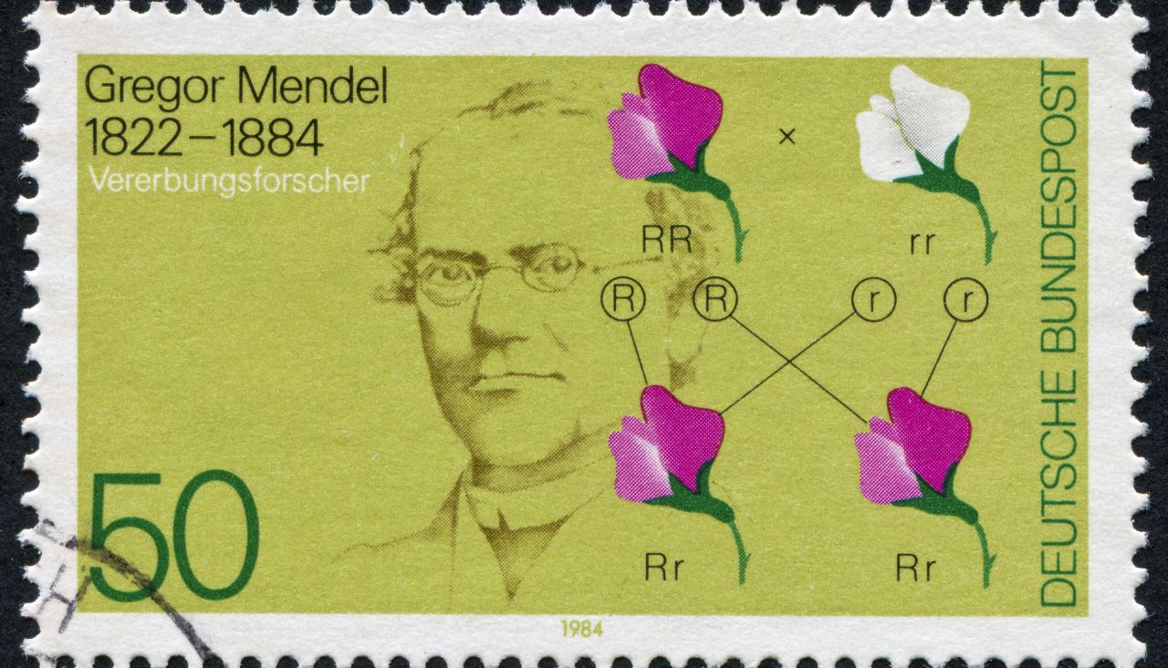 „Негоден“ свещеник, който промени човечеството: Невероятната история на Грегор Мендел